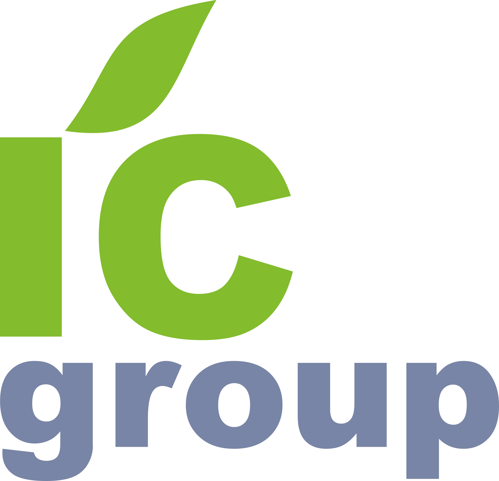 Ic group. Ic Group logo. Ecookna Group лого. Service Group.